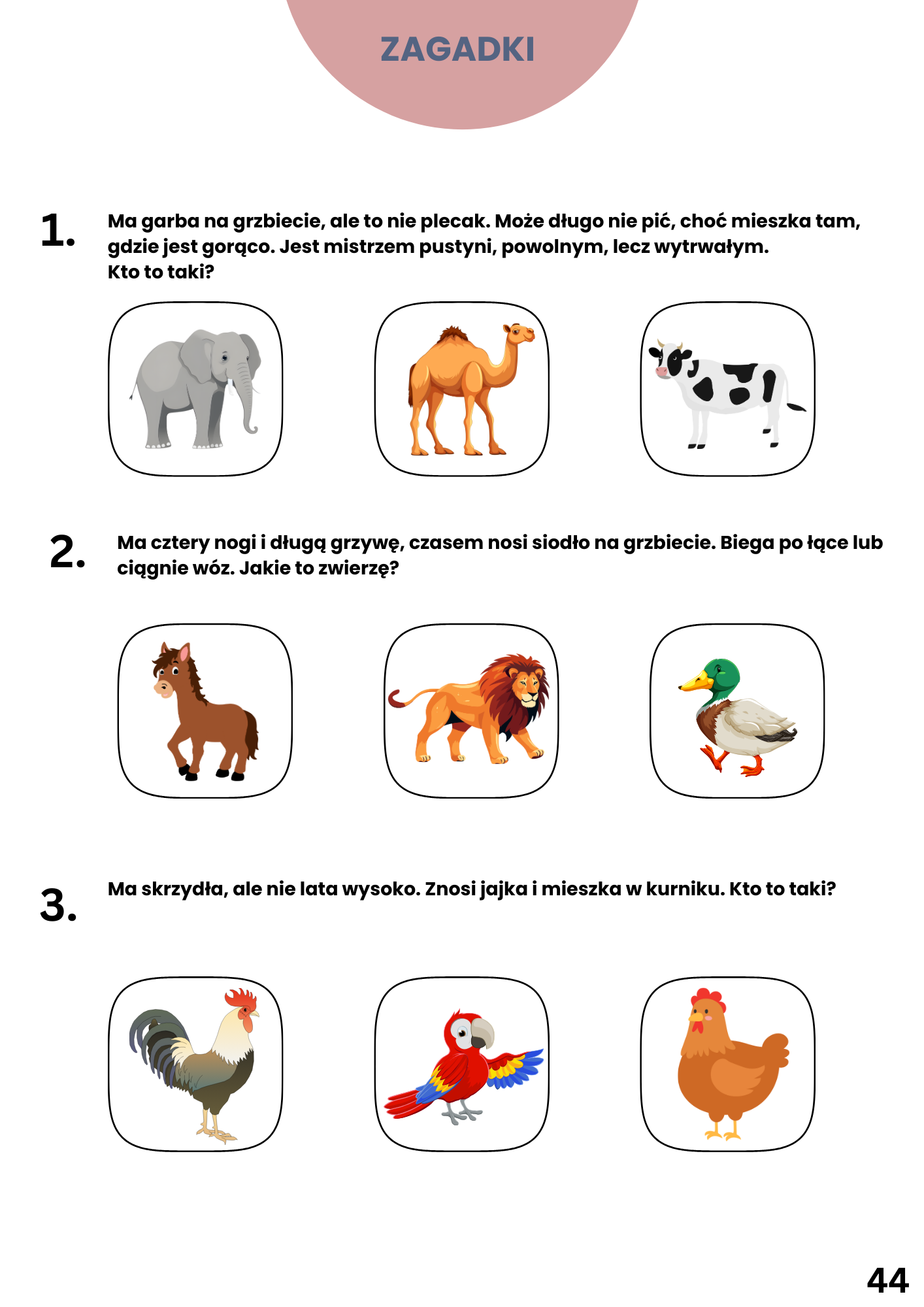 Zwierzęta po polsku (plik PDF)