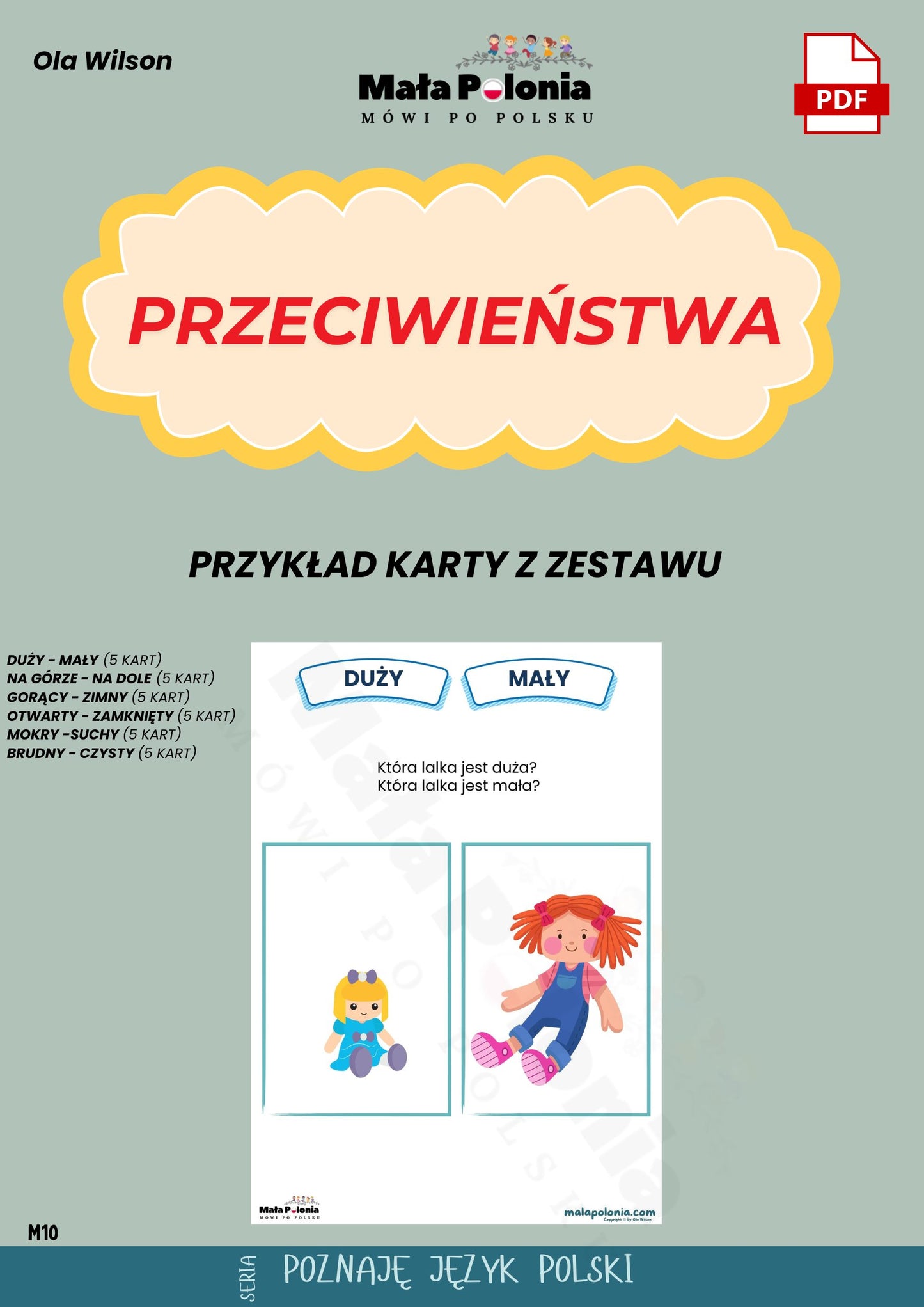 PRZECIWIEŃSTWA (plik PDF)